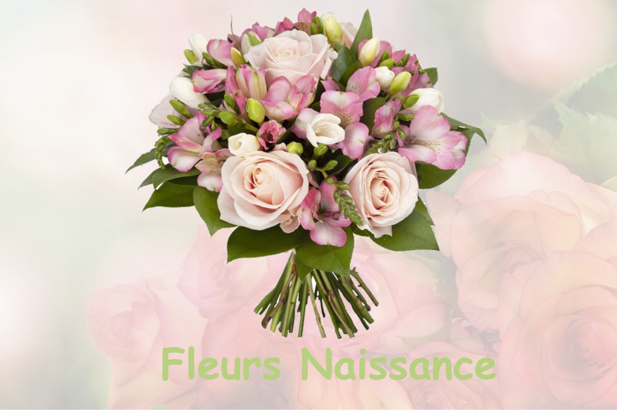 fleurs naissance NANTEUIL-EN-VALLEE